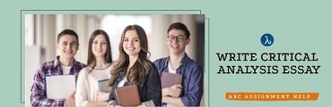 How to Write a Critical Analysis Essay?